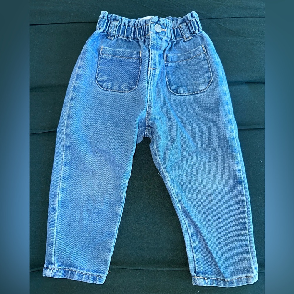 Zara Blue Jean Pants